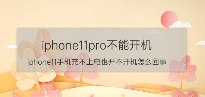 iphone11pro不能开机 iphone11手机充不上电也开不开机怎么回事？